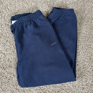 Aritzia Women’s Mega Jogger